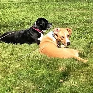 Meet your Posher, Denise